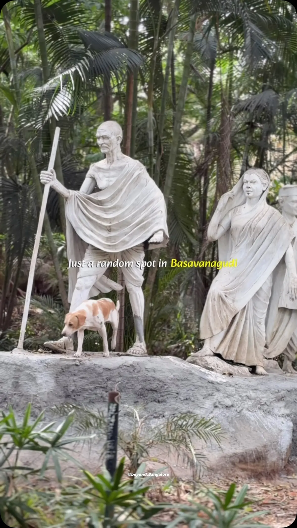 Bugle Rock Park, Basavanagudi